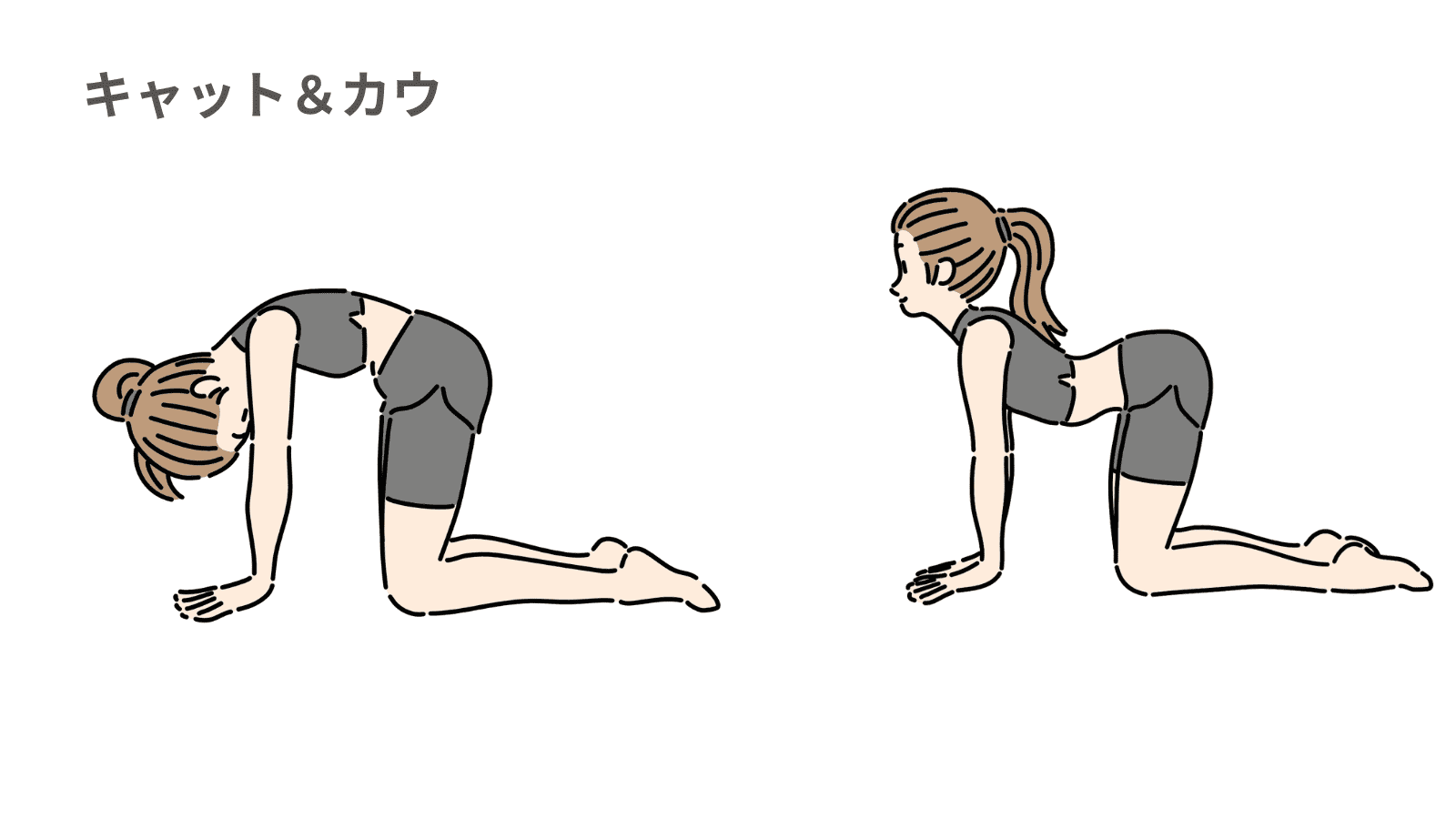 キャット＆カウ　イラスト