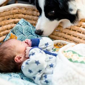 【犬と育った子供は喘息を発症するリスクが低い!?】研究結果が示唆