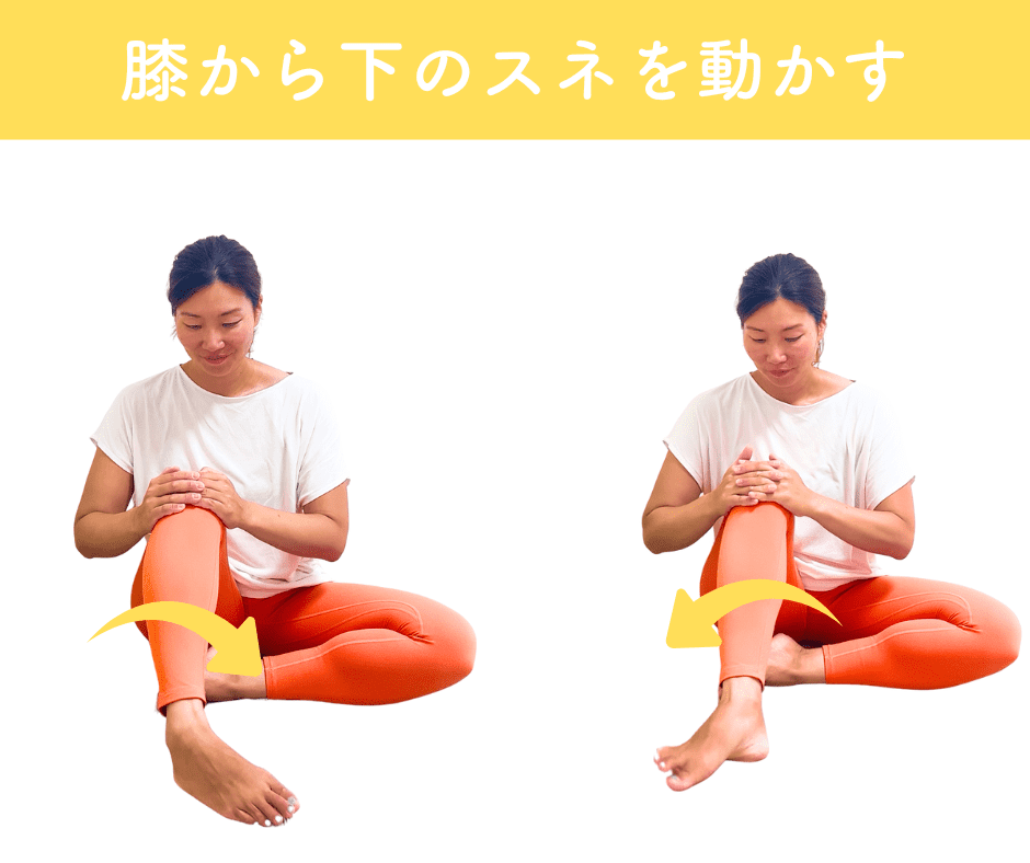 膝下O脚改善エクササイズ