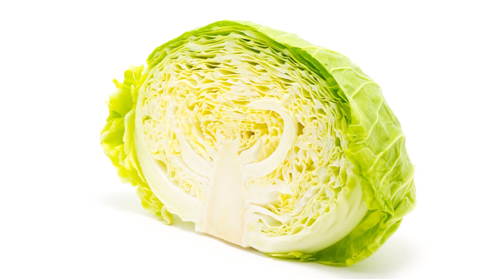 【キャベツ】食べ過ぎると腸に負担？注意すべき体質と適量を管理栄養士が解説