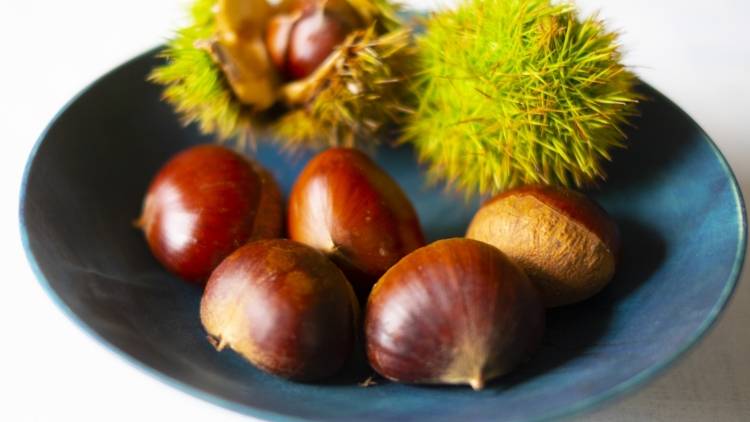 栗を食べ過ぎてはいけない人とはどんな人？管理栄養士が教える、栗を健康的に美味しく楽しむ方法