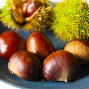 栗を食べ過ぎてはいけない人とはどんな人？管理栄養士が教える、栗を健康的に美味しく楽しむ方法