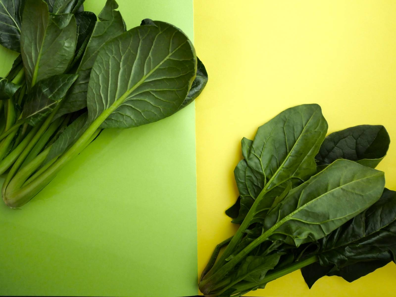 ほうれん草と小松菜