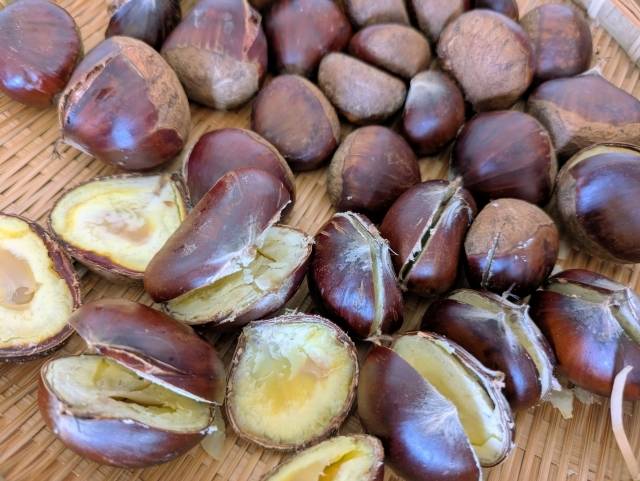 茹で栗