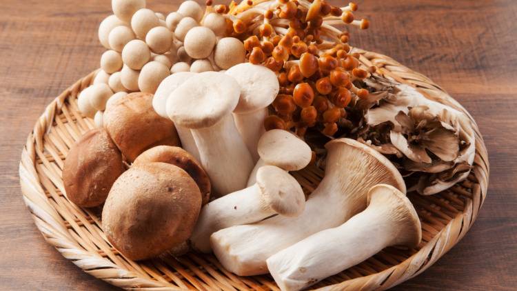 知らずにたくさん食べていない?きのこを食べ過ぎてはいけない人の特徴とは|管理栄養士が解説