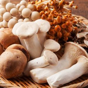 知らずにたくさん食べていない？きのこを食べ過ぎてはいけない人の特徴とは｜管理栄養士が解説