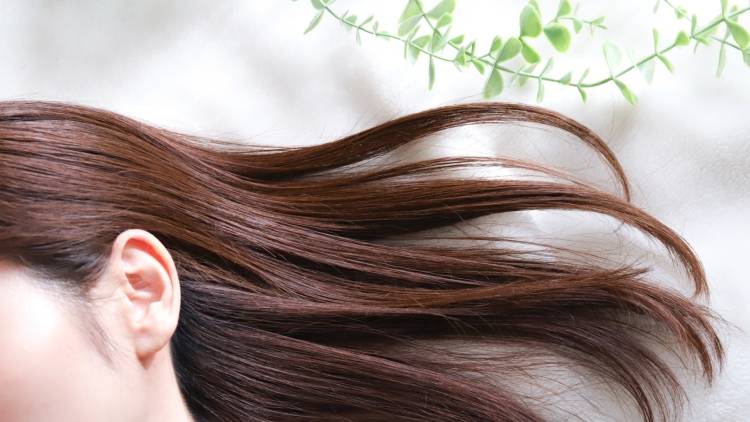 ツヤ髪の人が普段から食べているものとは？【管理栄養士が解説】