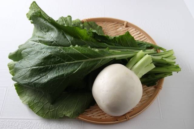 かぶの根と葉