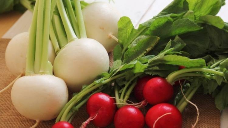 【かぶ】鉄・ビタミン・ミネラルが摂れる超優秀野菜！かぶの栄養素を余さず食べるコツ