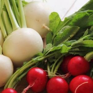 【かぶ】鉄・ビタミン・ミネラルが摂れる超優秀野菜!かぶの栄養素を余さず食べるコツ