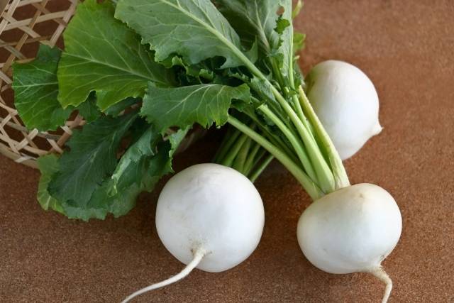 かぶのイメージ