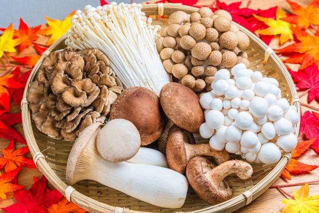 きのこ盛り合わせ