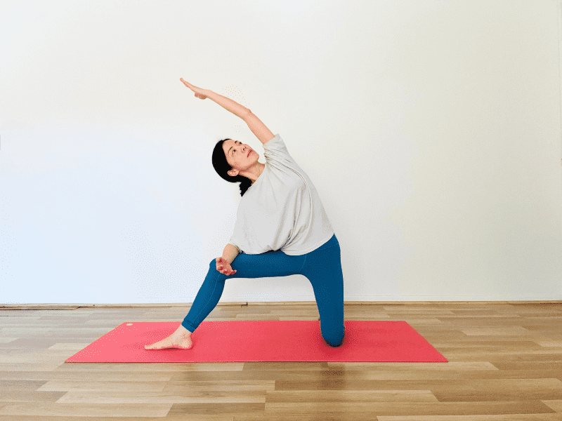 門のポーズバリエーション