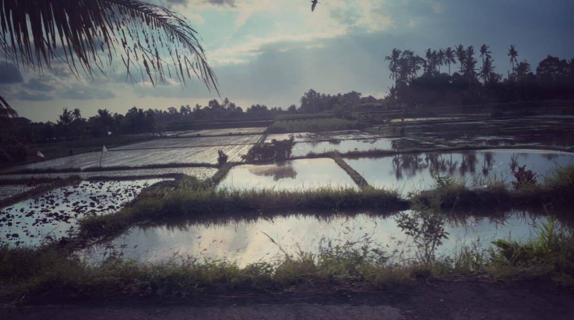 Photo by Yuri Ishikami