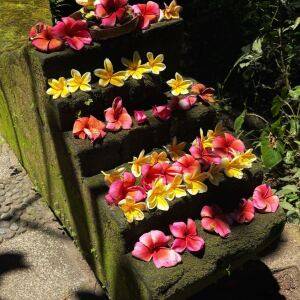 心理師がバリ島シャーマンに話を聞いた|バリヒンドゥーの教えと仏教との共通点