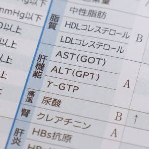 “隠れ脂肪肝”を放置するとどうなる？医師が教える〈意外と知らない〉肝炎への移行メカニズム