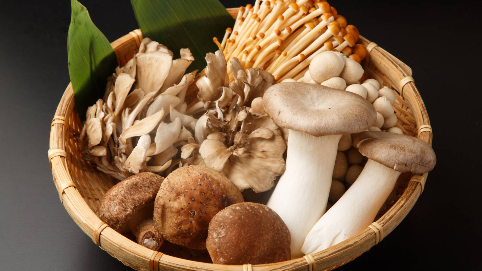 地味だけどすごい「きのこ」は免疫力を底上げする最強フード！種類別栄養の違いと、食べ方のコツ