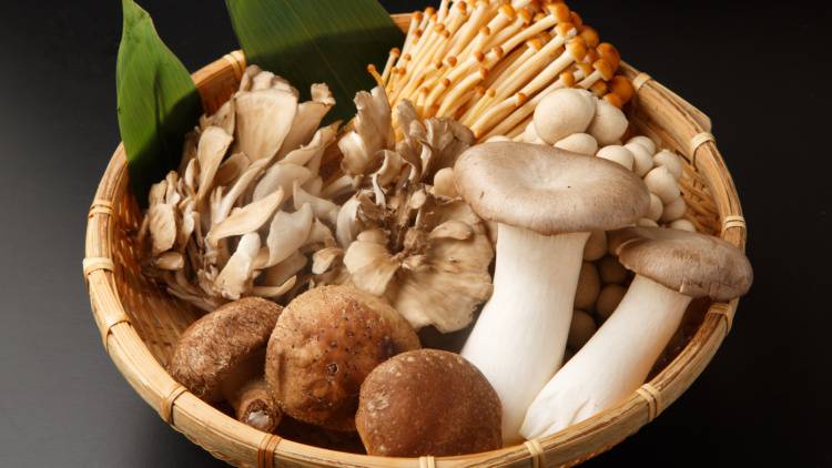 地味だけどすごい「きのこ」は免疫力を底上げする最強フード！種類別栄養の違いと、食べ方のコツ