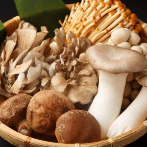 地味だけどすごい「きのこ」は免疫力を底上げする最強フード！種類別栄養の違いと、食べ方のコツ