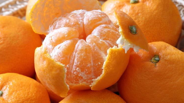 【旬のみかん】食べ過ぎると起こる不調とは？注意が必要なのはどんな体質の人？管理栄養士が解説