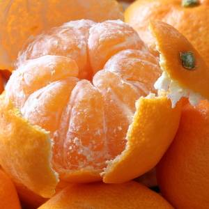 【旬のみかん】食べ過ぎると起こる不調とは?注意が必要なのはどんな体質の人?管理栄養士が解説