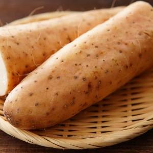 【山芋】に加えるだけ！一緒に摂ると栄養の吸収が高まる「ちょい足し食材」管理栄養士が解説