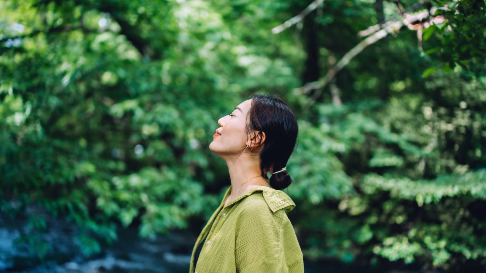 海外でもその効用が注目されている「森林浴」。発祥は日本って知ってた？