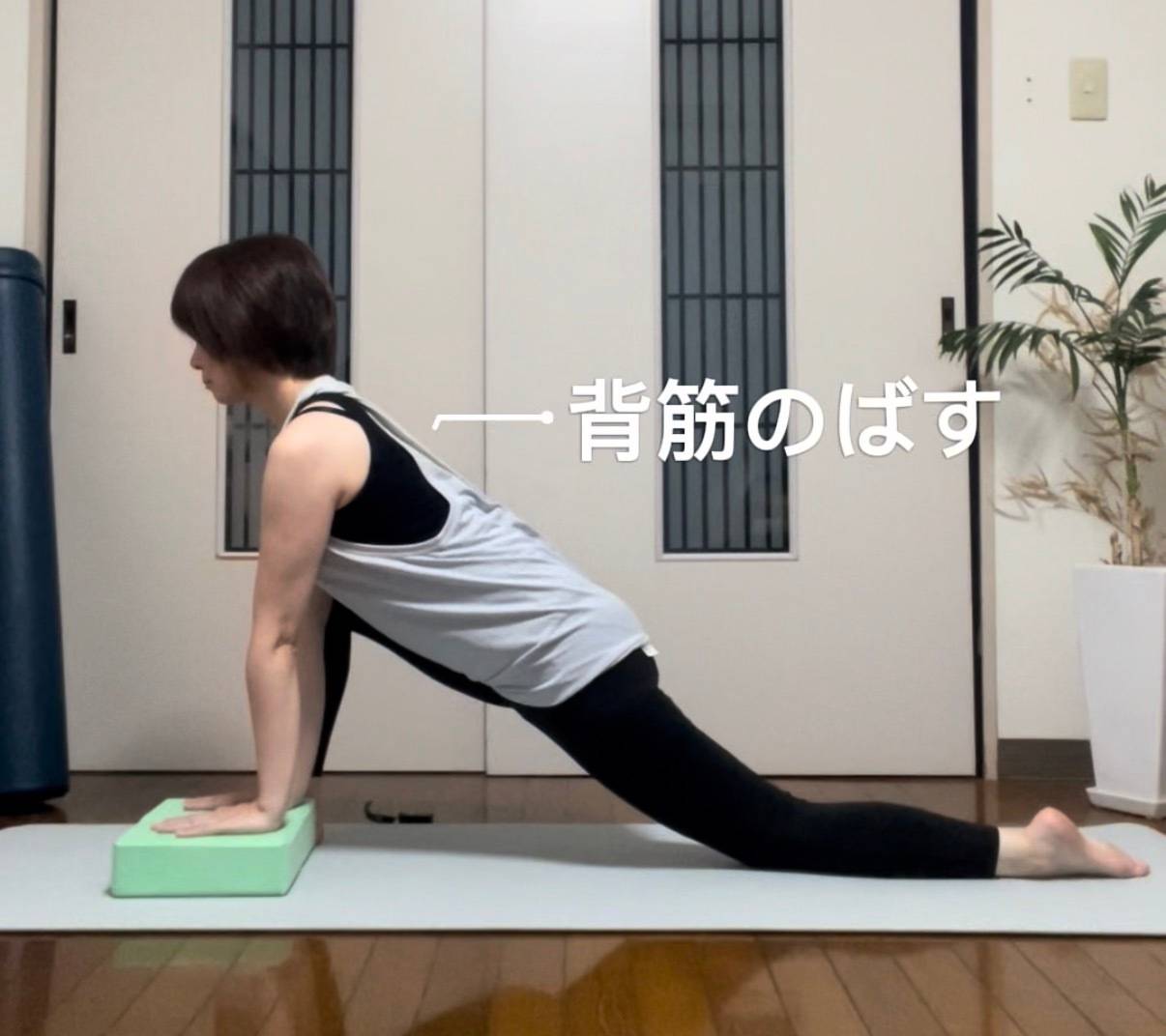 トカゲのポーズ