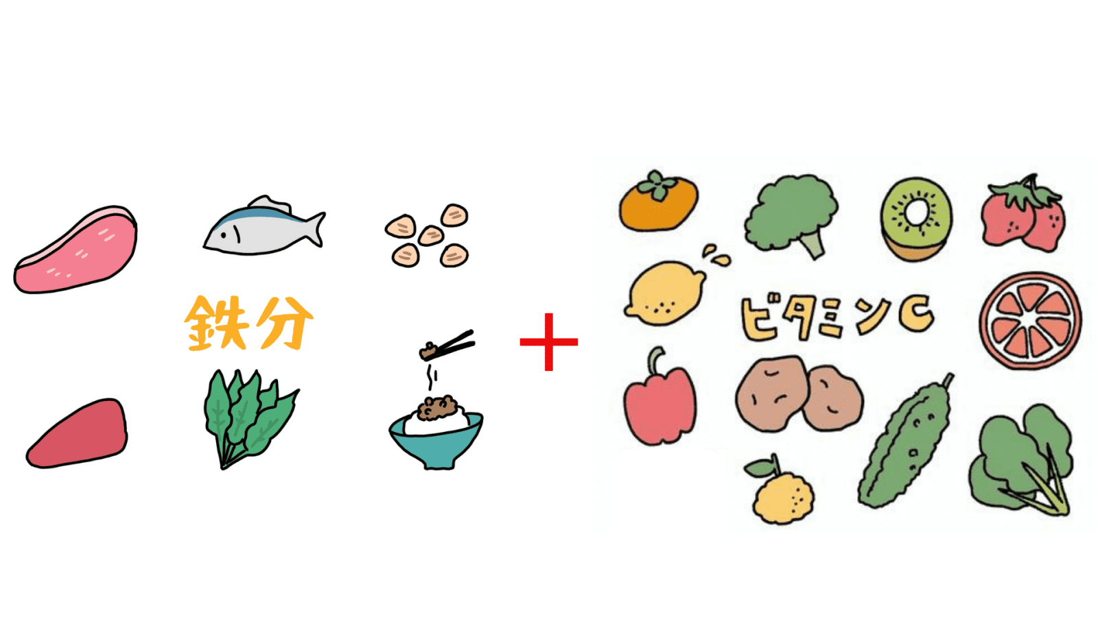 鉄分＋ビタミンCのイラスト