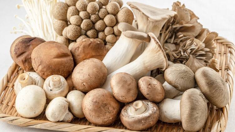 「今まで、水で洗っていたわ…」【きのこ】の栄養を損なうNG調理法とは？管理栄養士が解説