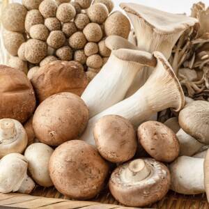 「今まで、水で洗っていたわ…」【きのこ】の栄養を損なうNG調理法とは？管理栄養士が解説