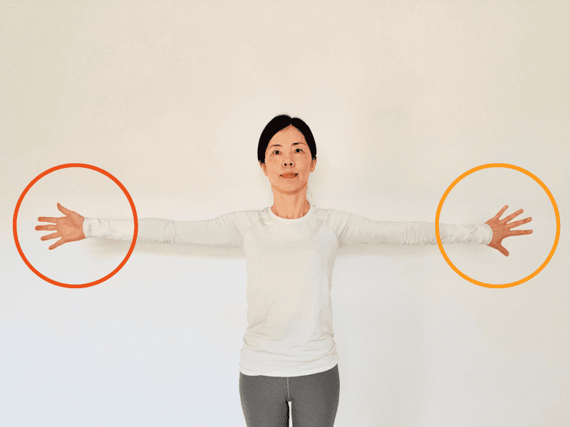 ゴムカアーサナ