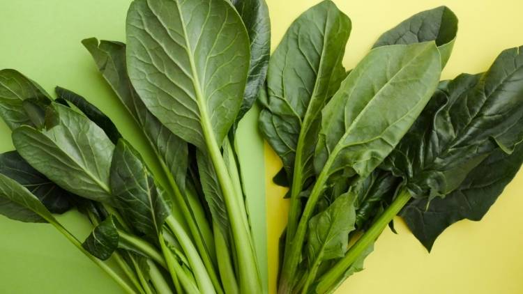 管理栄養士が教える【小松菜】パワー！ほうれん草よりおすすめな理由とは！？栄養吸収率を高める食べ合わせも紹介