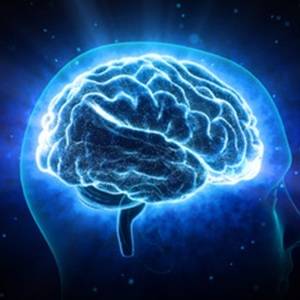 記憶力や学習能力が上がる!?脳を強くする食べ物「ブレインフード」とは|管理栄養士が解説