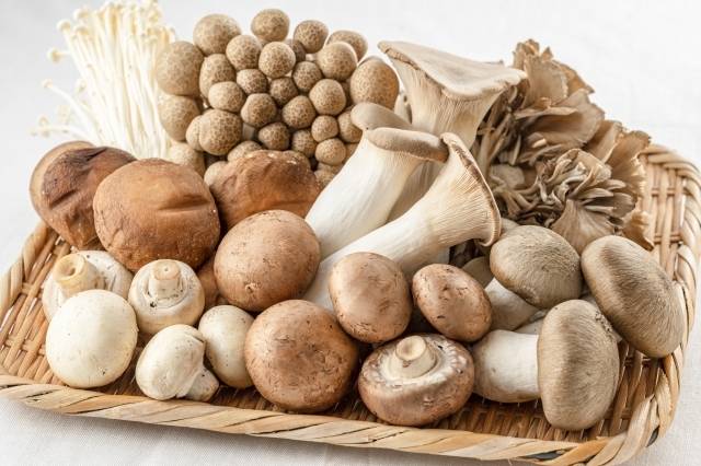 秋の食中毒のイメージ