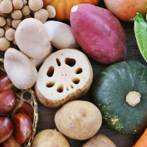 「食物繊維を摂っても便秘が治らない…」→食べ方が間違っている人多数？見直すべき食物繊維摂取のポイントとは？