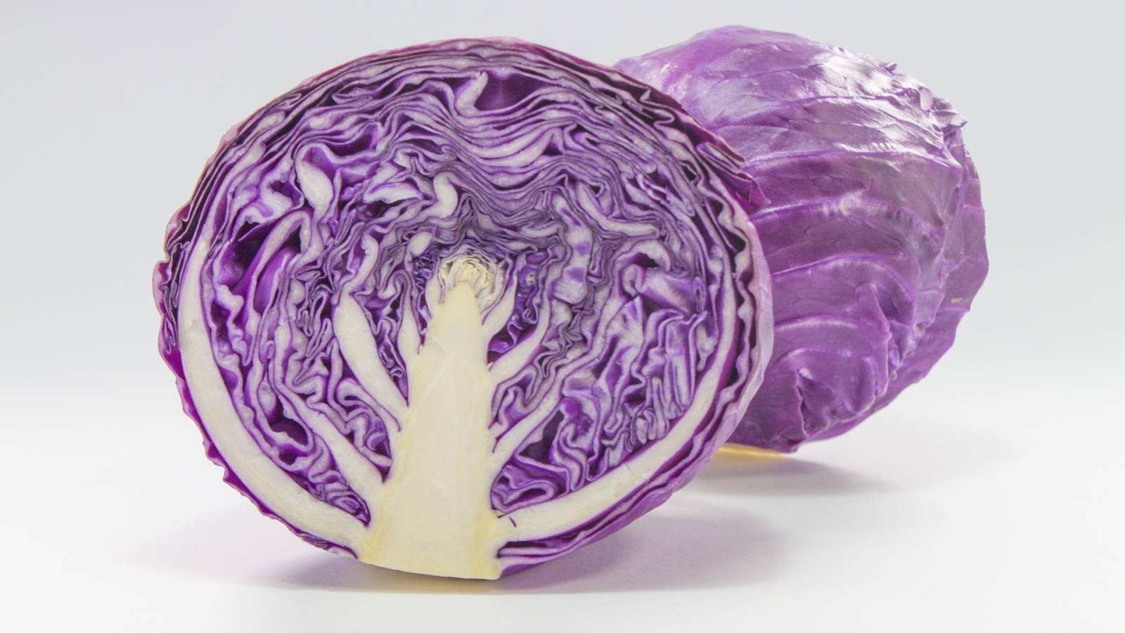 美肌に欠かせないビタミンCが1.6倍。毎日食べたい“紫キャベツ”の美容効果を管理栄養士が解説