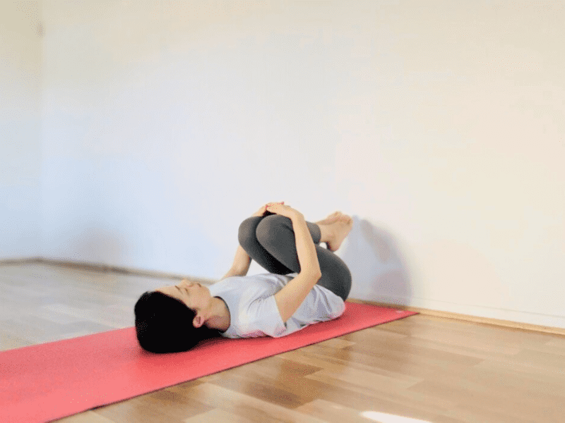 ヴィパリタカラニ