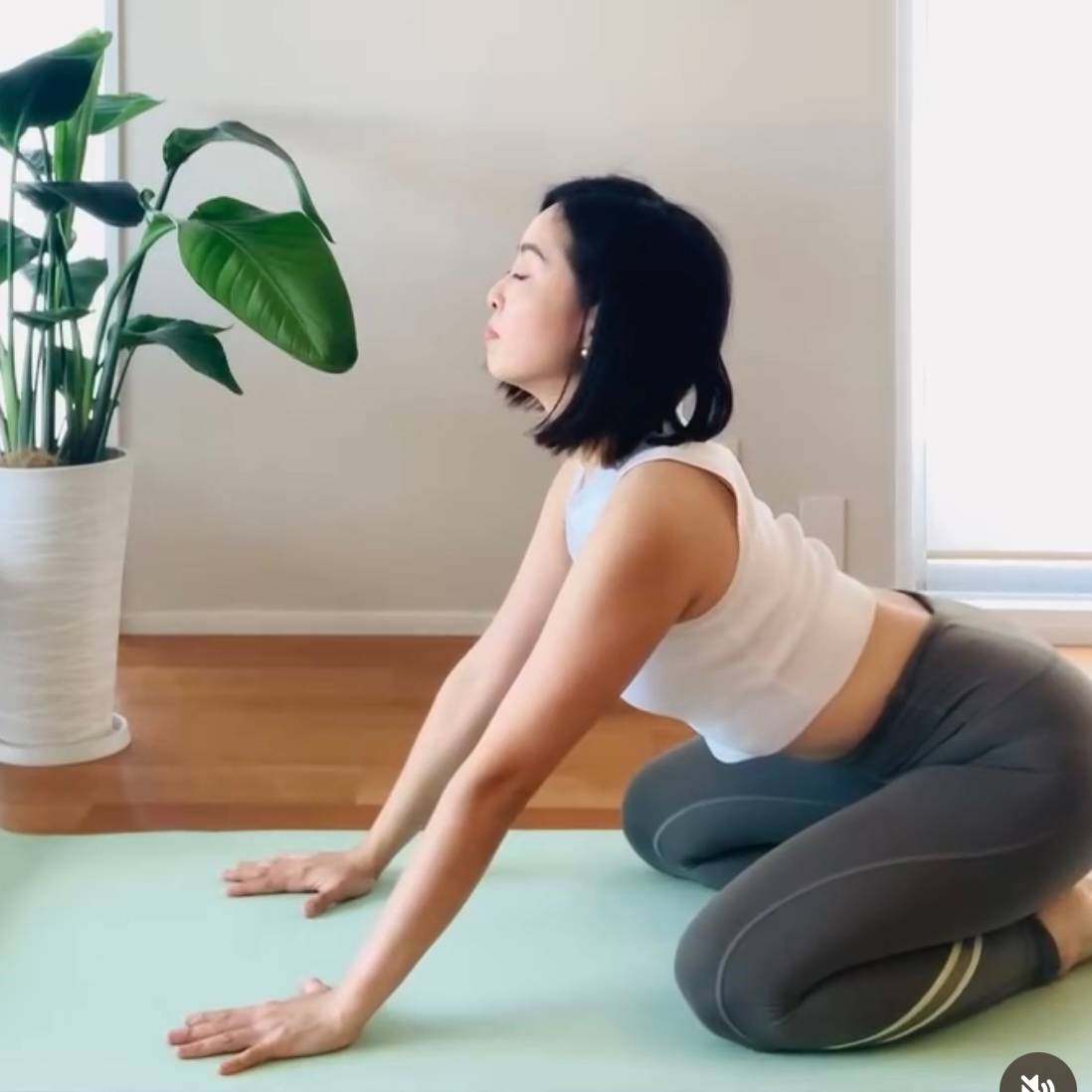 肋骨エクササイズ