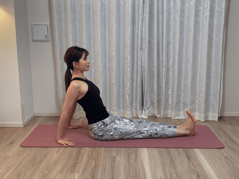 リバースプランク1