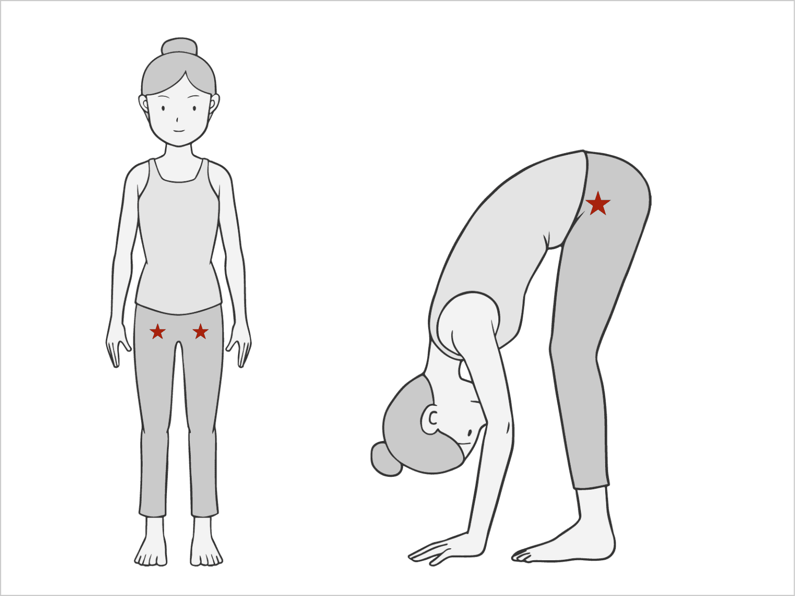 股関節は大転子と恥骨の中間、恥骨より奥の方で動く