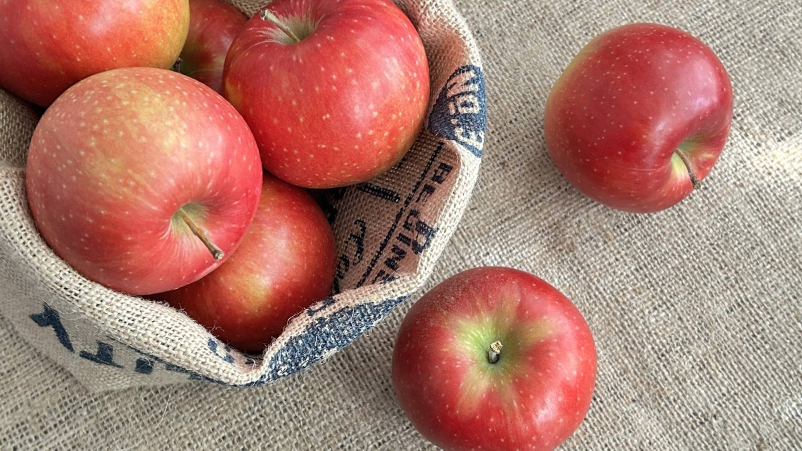 実はNG？りんごを食べない方がいい人の特徴【管理栄養士が解説】