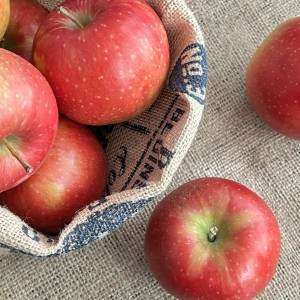 実はNG？りんごを食べない方がいい人の特徴【管理栄養士が解説】