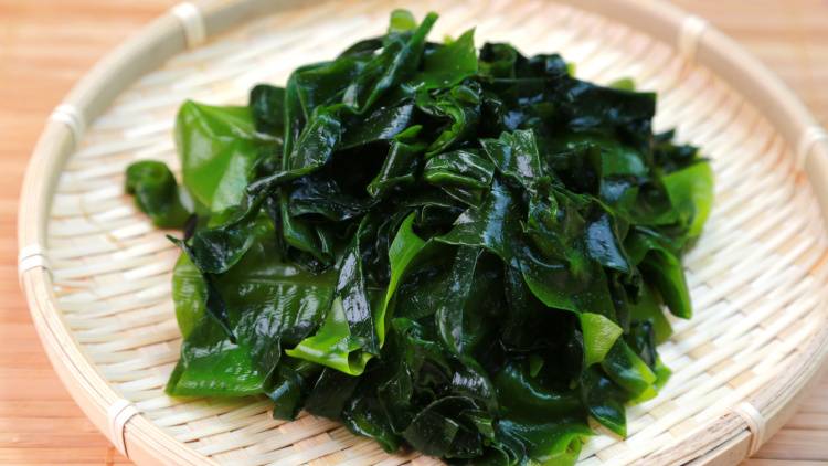 朝わかめを食べるだけ!みるみる痩せ腸に変わる「わかめ」の食べ方|管理栄養士が解説