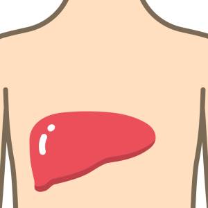 気づかないうちに危険?【肝臓を守る3つの食べ方】を管理栄養士が解説