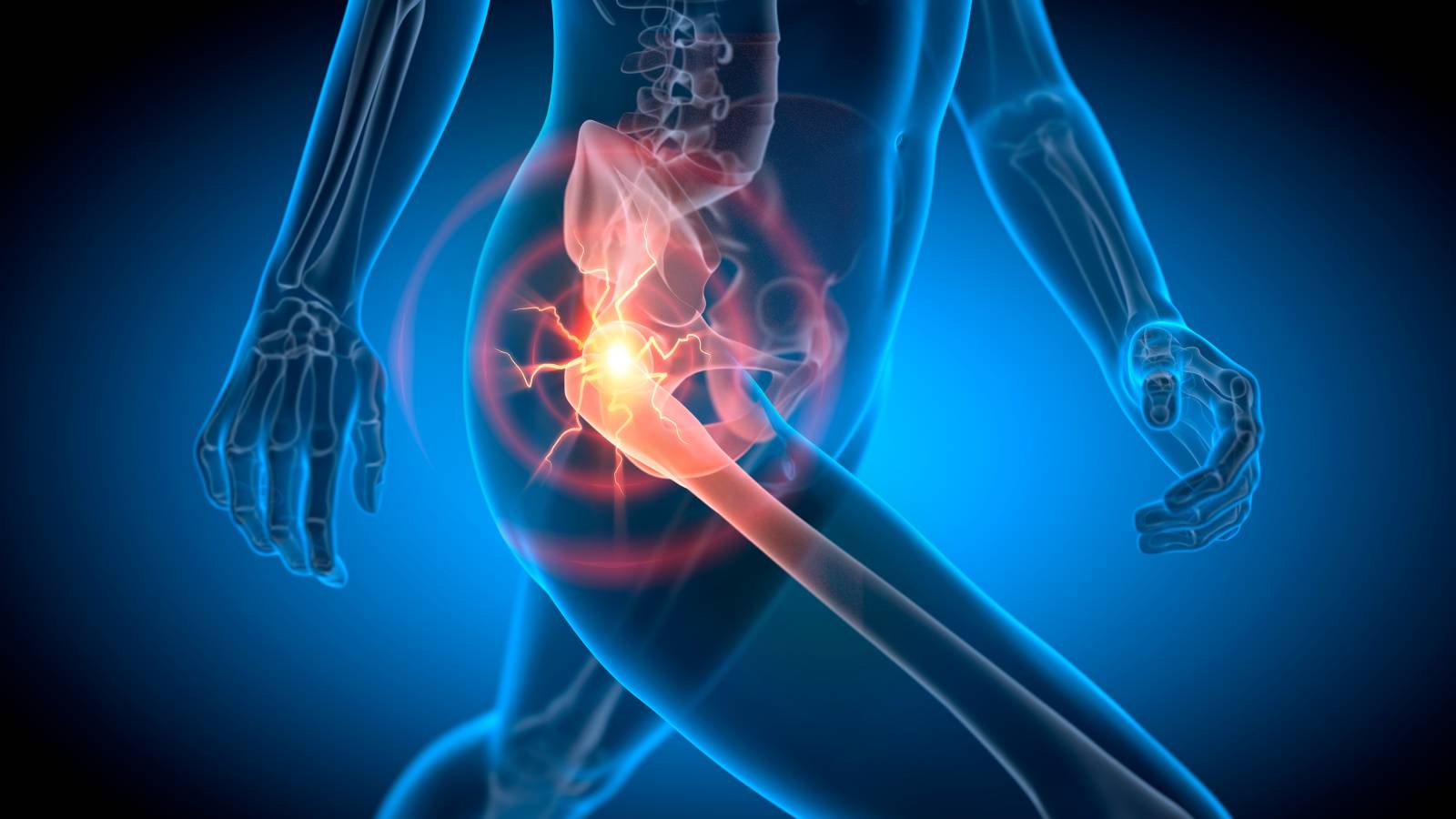 内転筋を伸ばすと股関節がふわっと軽くなる！歩行時の安定を高めて骨盤を支える「1分ストレッチ」