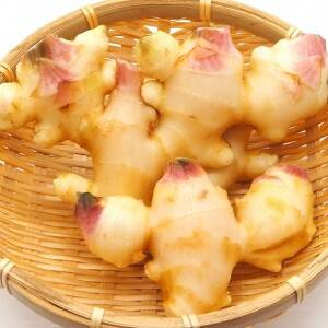 なぜ生姜が風邪予防に良い？からだを温め免疫をサポートする理由と効果的な食べ方・保存方法を解説