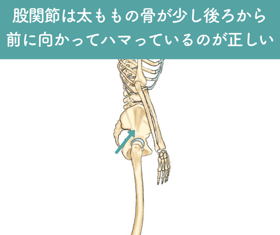 股関節のポジション