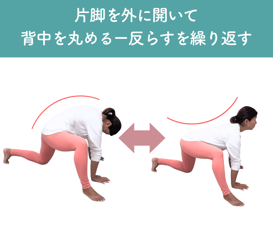 股関節のはめ込み