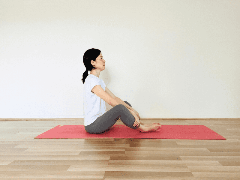 座位のキャットカウ